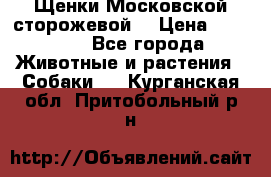 Щенки Московской сторожевой  › Цена ­ 25 000 - Все города Животные и растения » Собаки   . Курганская обл.,Притобольный р-н